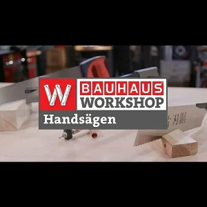 BAUHAUS AL-KO Easy Flex Akku-Astsäge HS 2015 20 V, Ohne Akku, Hubzahl: 2.200 U/min 10