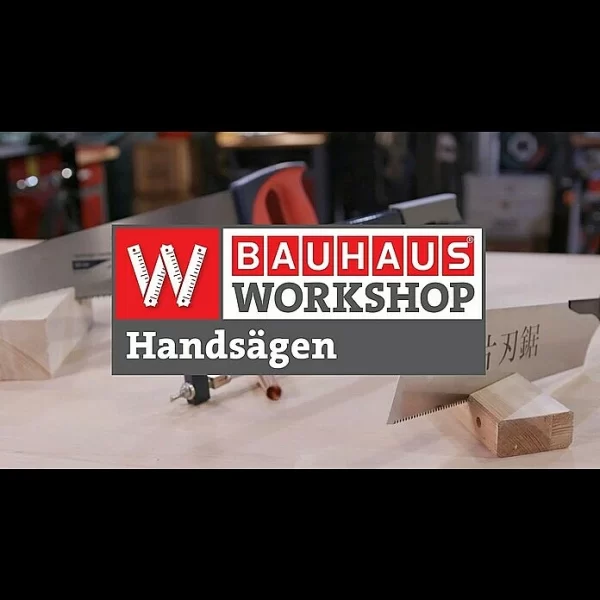 BAUHAUS AL-KO Easy Flex Akku-Astsäge HS 2015 20 V, Ohne Akku, Hubzahl: 2.200 U/min 4