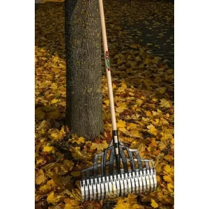 BAUHAUS Gardol Laubbesen Arbeitsbreite: 50 Cm, Anzahl Zinken: 20, Langstiel 7