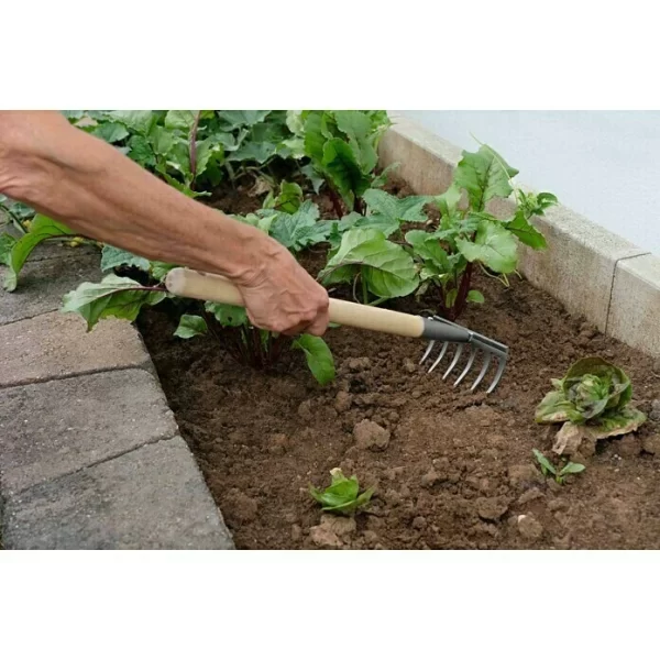 BAUHAUS Gardol Hand-Kleinrechen Arbeitsbreite: 14 Cm, Anzahl Zinken: 6, Kurzstiel 3