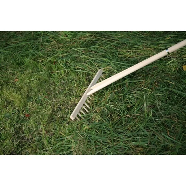 BAUHAUS Freund Victoria Heurechen Arbeitsbreite: 47,5 Cm, Anzahl Zinken: 14, Langstiel 3